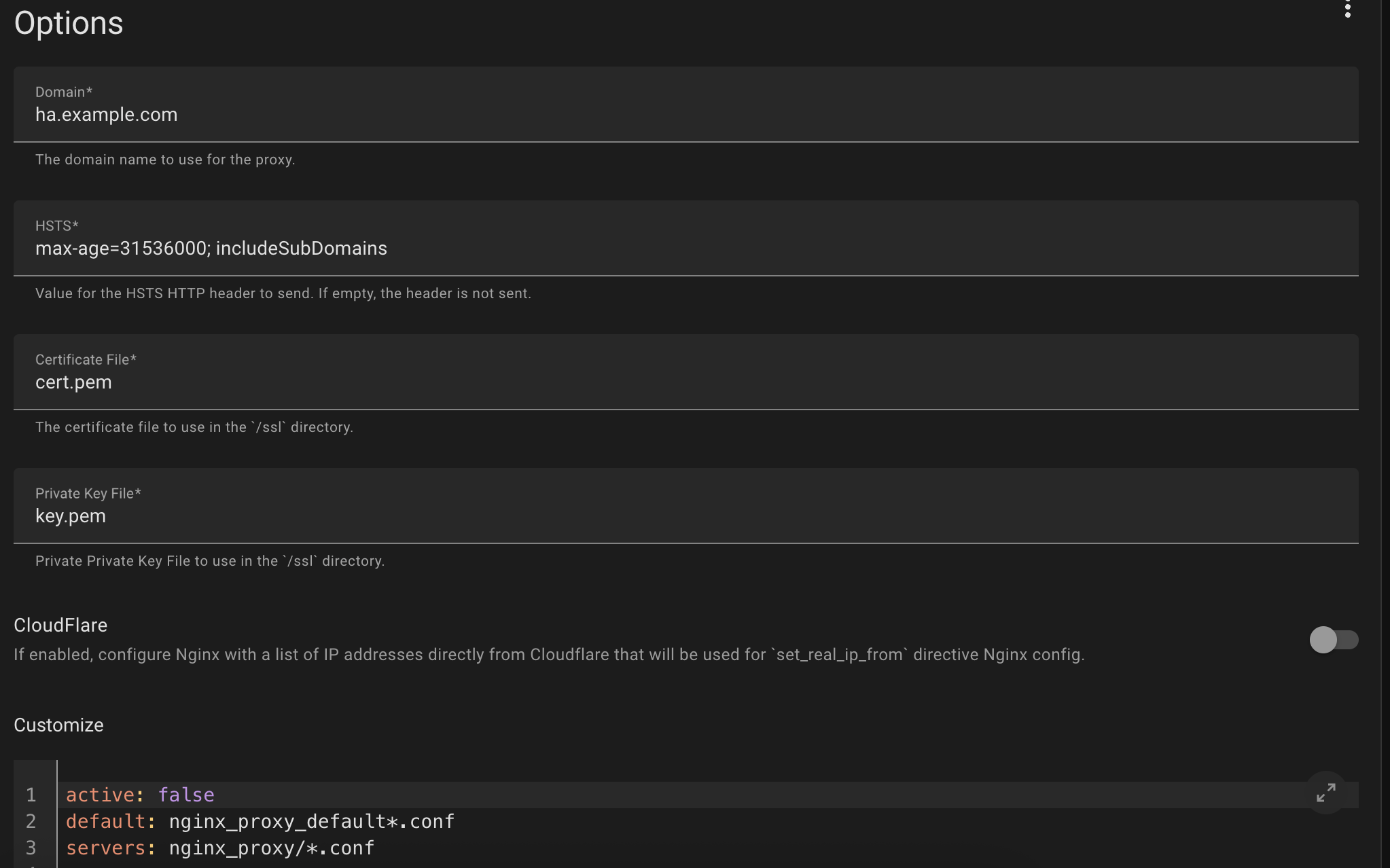Nginx Proxy Manager Configuration Nginx Proxy Manager Configuration